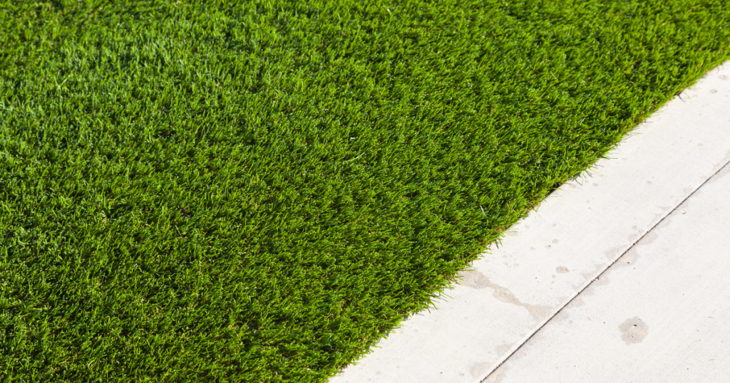 How Long Does Artificial Turf Last? Forest Green Artificial Grass